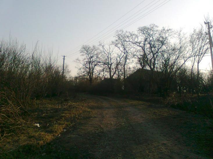 Миколаївські Сади з panoramio.com - Миколаївські Сади