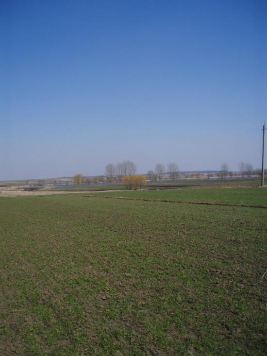 Рогізне з panoramio.com - Рогозное