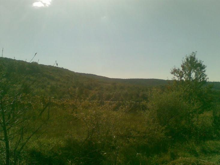 Холмовець з panoramio.com - Холмовець
