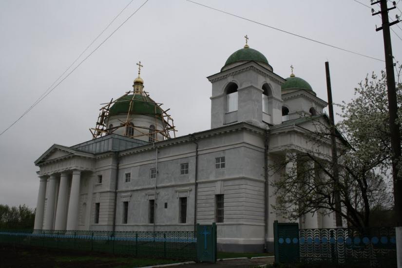 Ромашки з panoramio.com - Ромашки