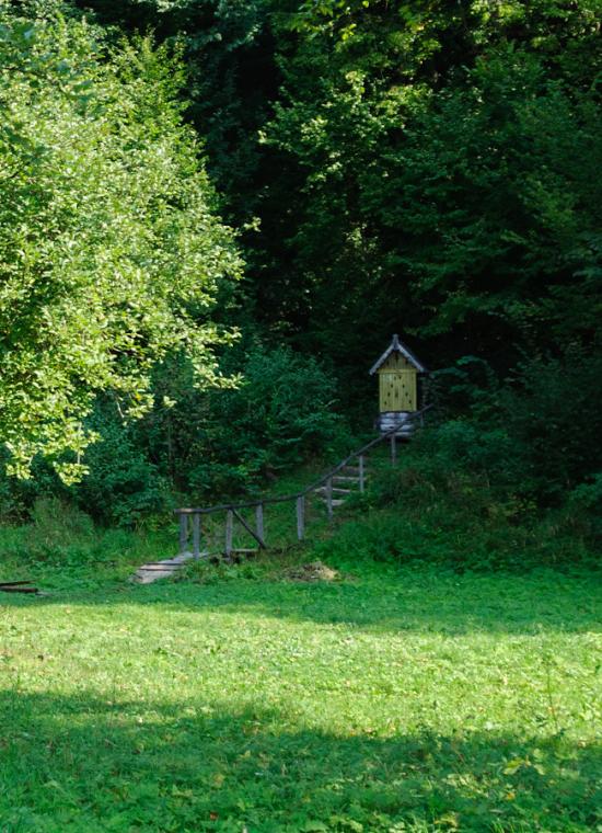 Домашин з panoramio.com - Домашин