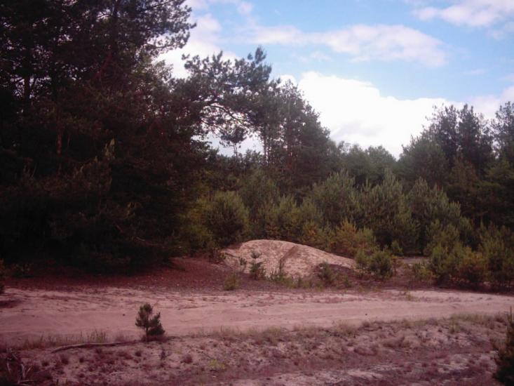 Лисняки з panoramio.com - Лисняки