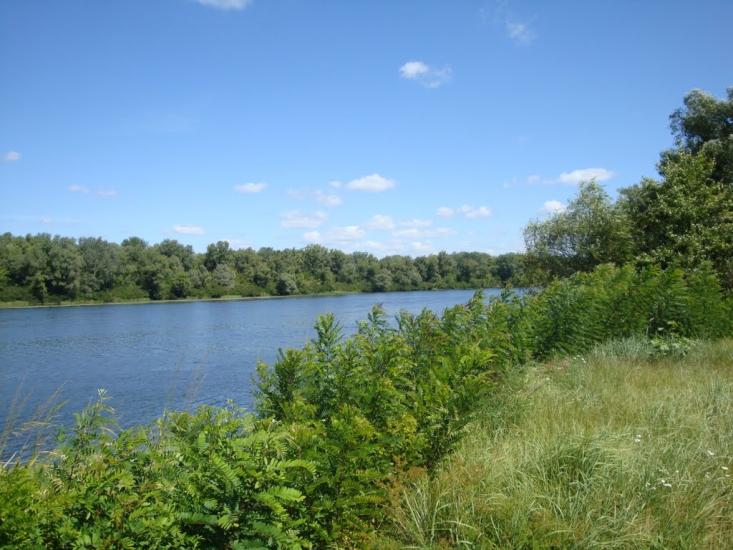 Хрещатик з panoramio.com - Хрещатик