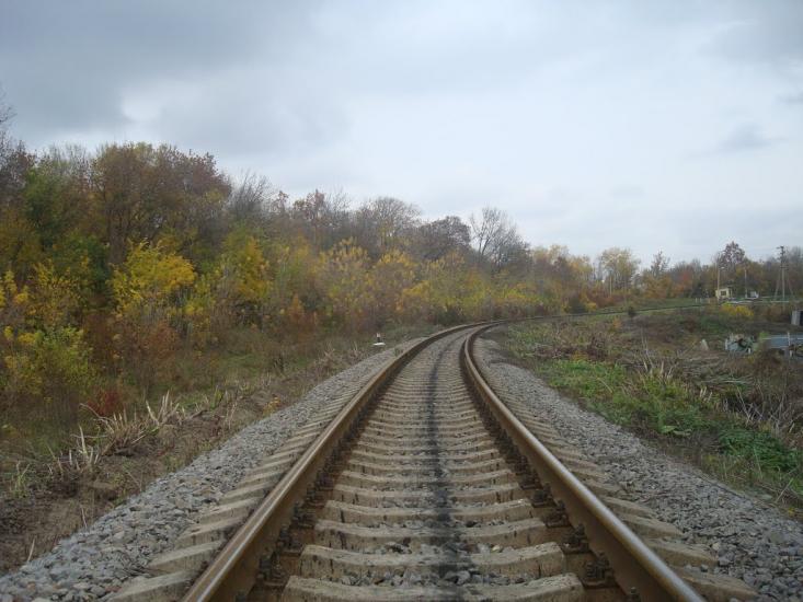 Вільхівчик з panoramio.com - Ольховчик