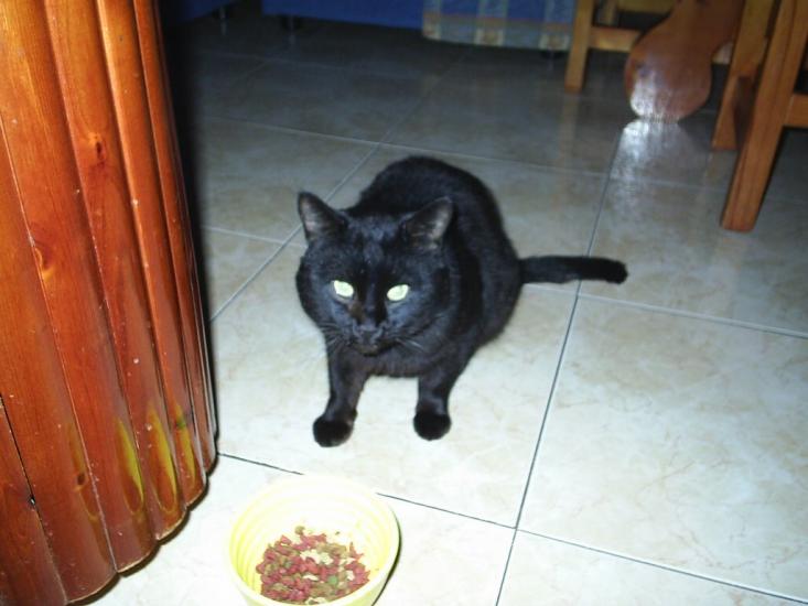 Красносілка з panoramio.com - Красносілка