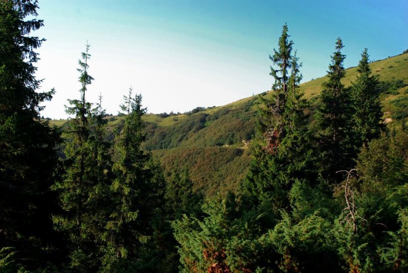 Бребоя з panoramio.com - Бребоя