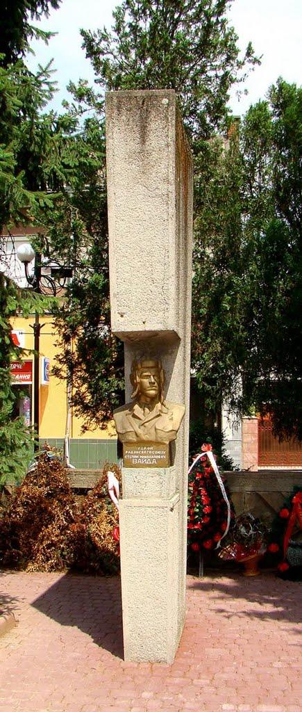 Тячів з panoramio.com - Tyachiv