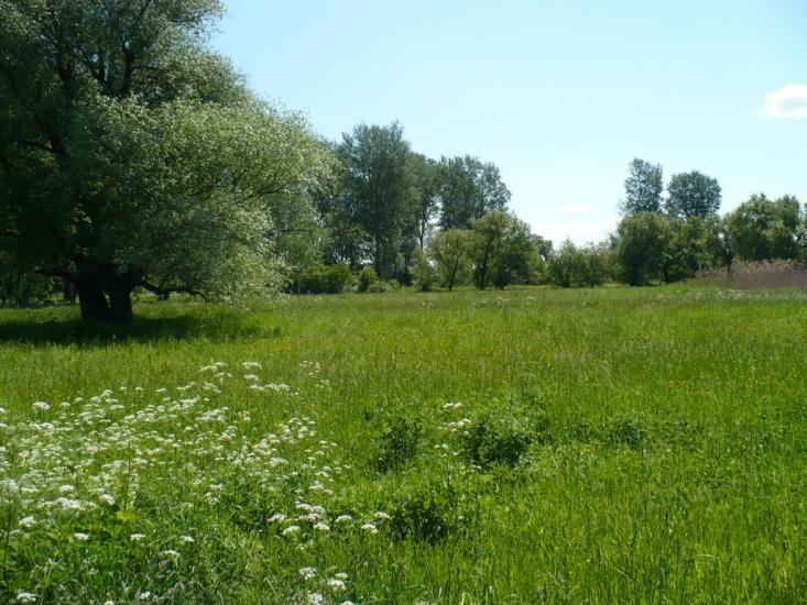 Барвінкове з panoramio.com - Барвенково