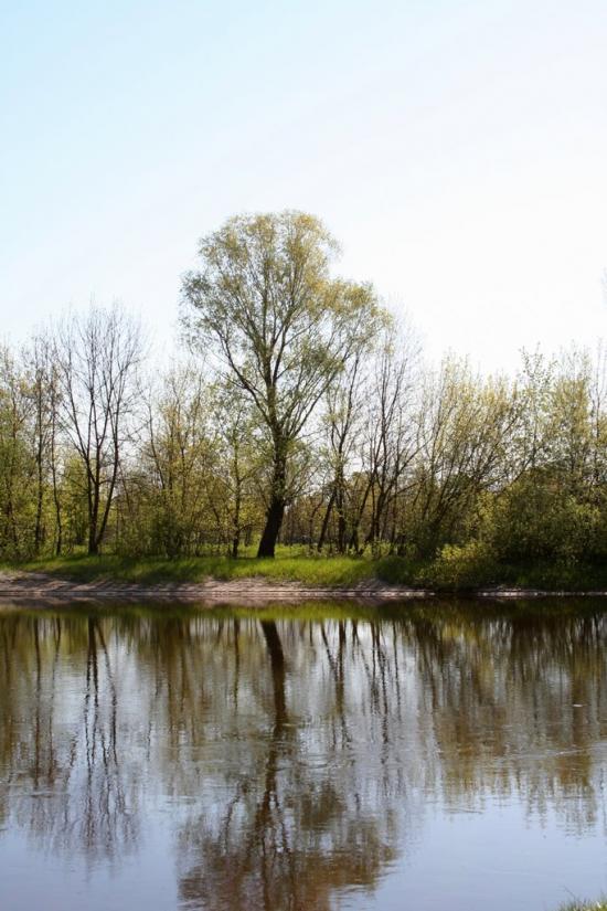 Клочків з panoramio.com - Клочків