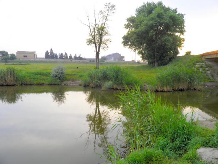 Павлівка з panoramio.com - Павловка