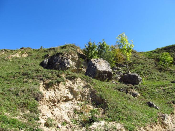 Лопушне з panoramio.com - Лопушне