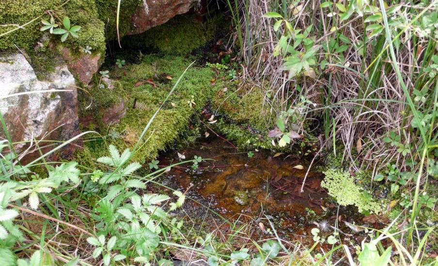 Красний Октябр з panoramio.com - Красний Октябр