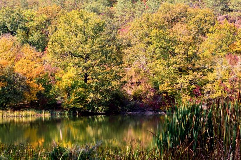Піонерське з panoramio.com - Пионерское
