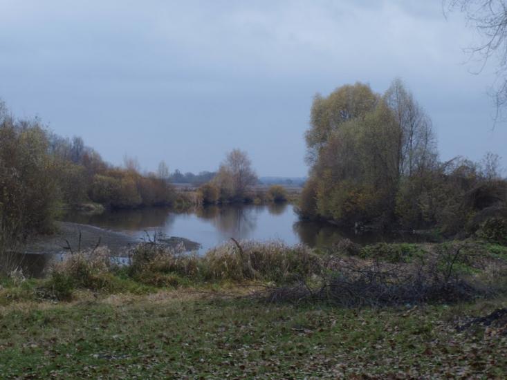 Вишевичі з panoramio.com - Вышевичи