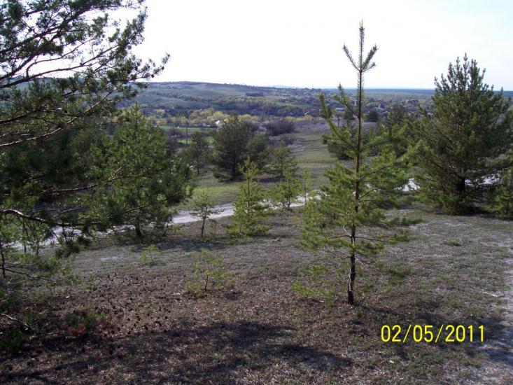 Пискунівка з panoramio.com - Pyskunivka