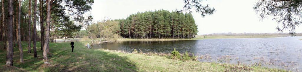 Козлин з panoramio.com - Козлин