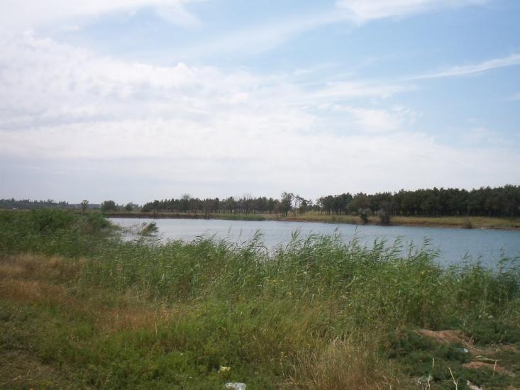 Баштанка з panoramio.com - Баштанка
