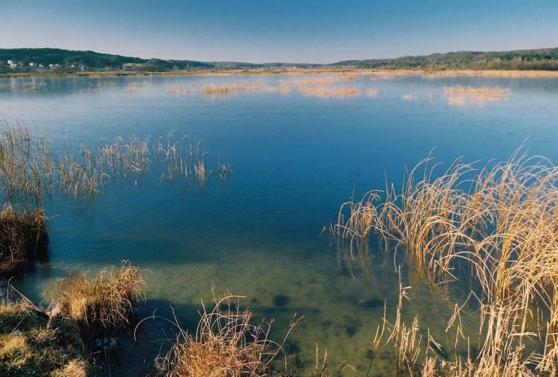 Івано-Франкове з panoramio.com - Ivano-Frankove
