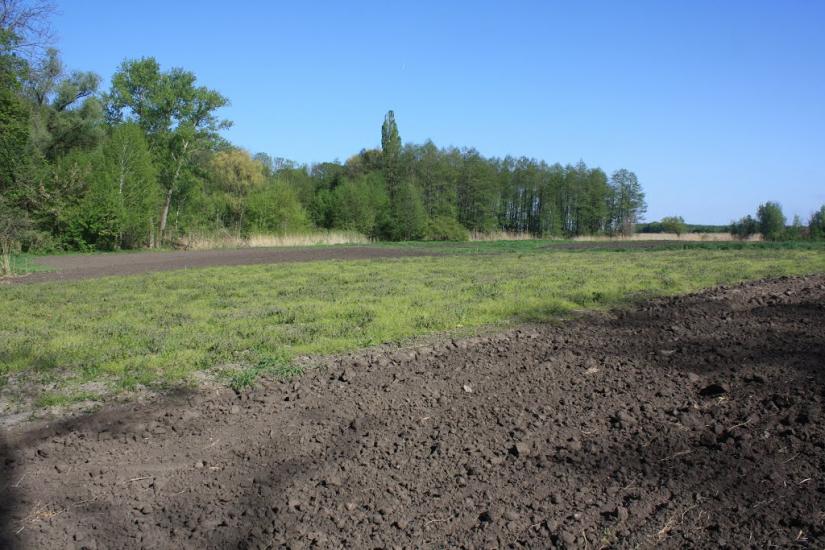 Велика Бурімка з panoramio.com - Великая Буромка