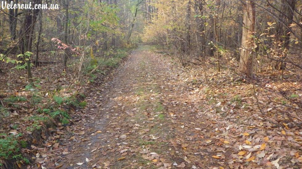 Княжичі з panoramio.com - Княжичи