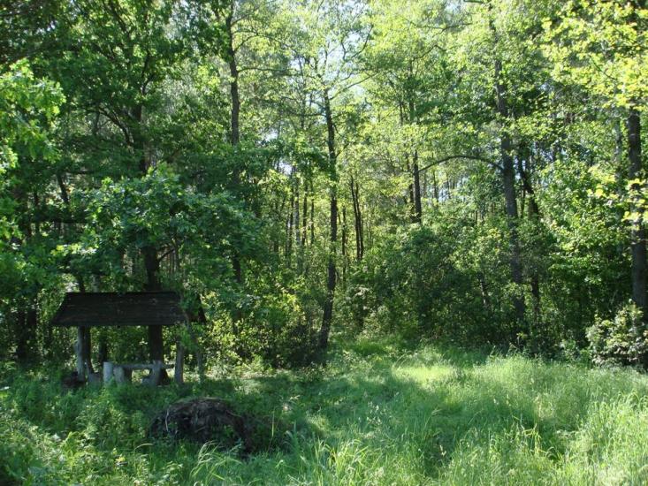 Хрипськ з panoramio.com - Khrypsk