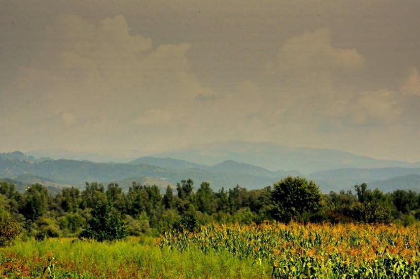 Грушово з panoramio.com - Grushovo
