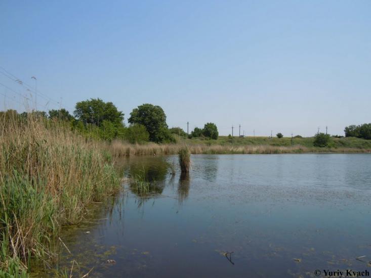 Грибівка з panoramio.com - Грибовка