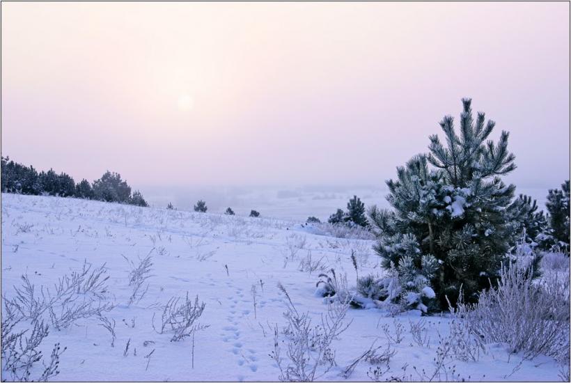 Кицівка з panoramio.com - Кицевка