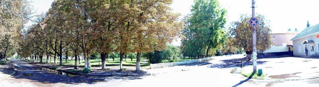 Сосниця з panoramio.com - Сосниця