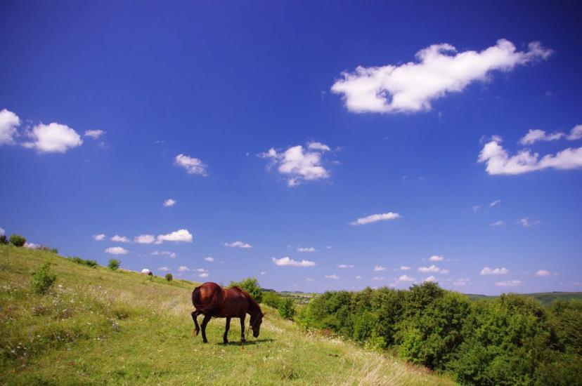 Браїлівка з panoramio.com - Браїлівка