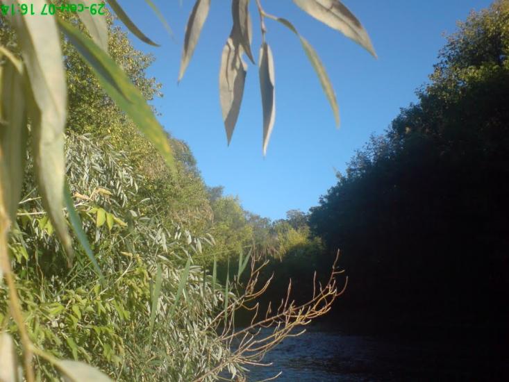 Нижньокринське з panoramio.com - Нижньокринське