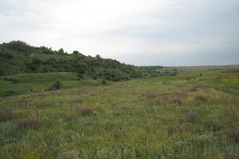 Родникове з panoramio.com - Родниково