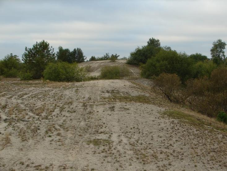 Неданчичі з panoramio.com - Nedanchychi