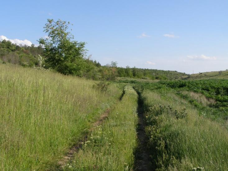 Широке з panoramio.com - Широкое