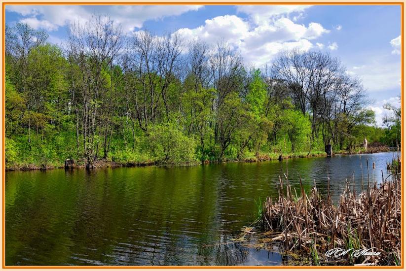 Серебрянка з panoramio.com - Serebryanka