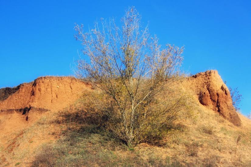 Майське з panoramio.com - Mayske