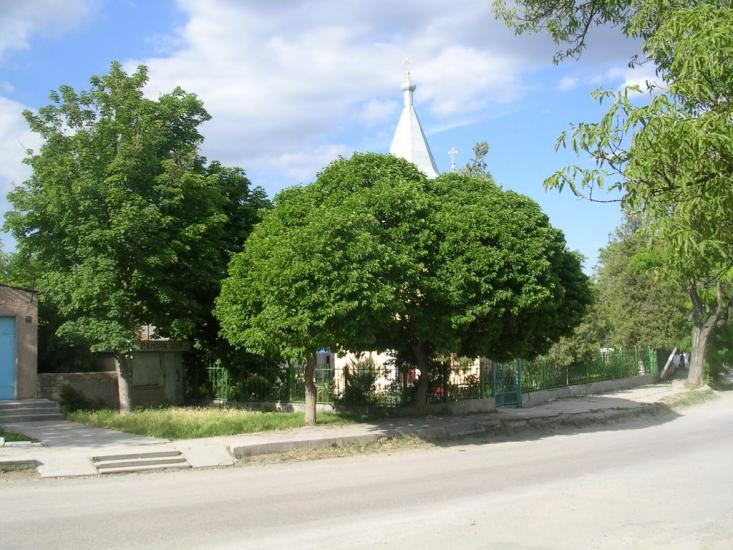 Зуя з panoramio.com - Зуя