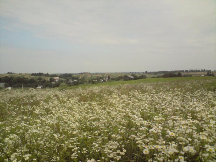 Стрілковичі з panoramio.com - Стрелковичи
