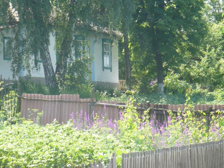 Барвінкове з panoramio.com - Барвенково