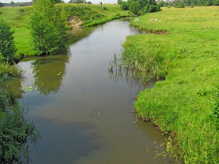 Хотин з panoramio.com - Хотин