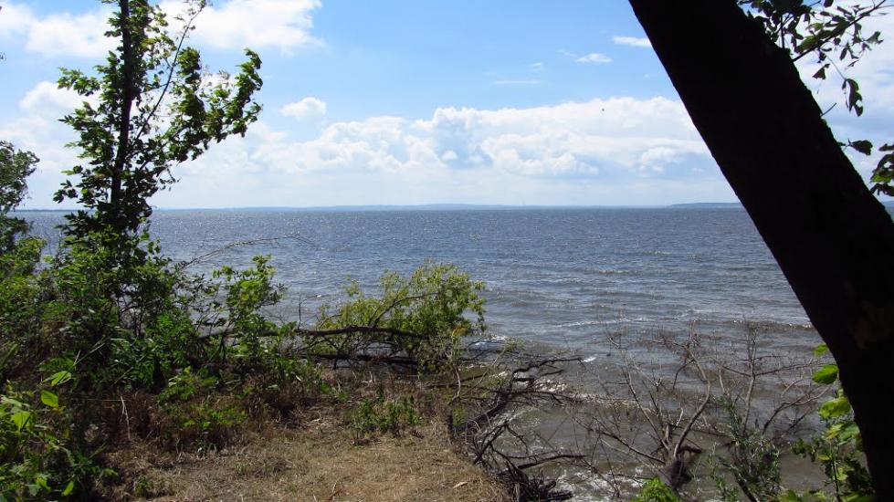 Недогарки з panoramio.com - Недогарки