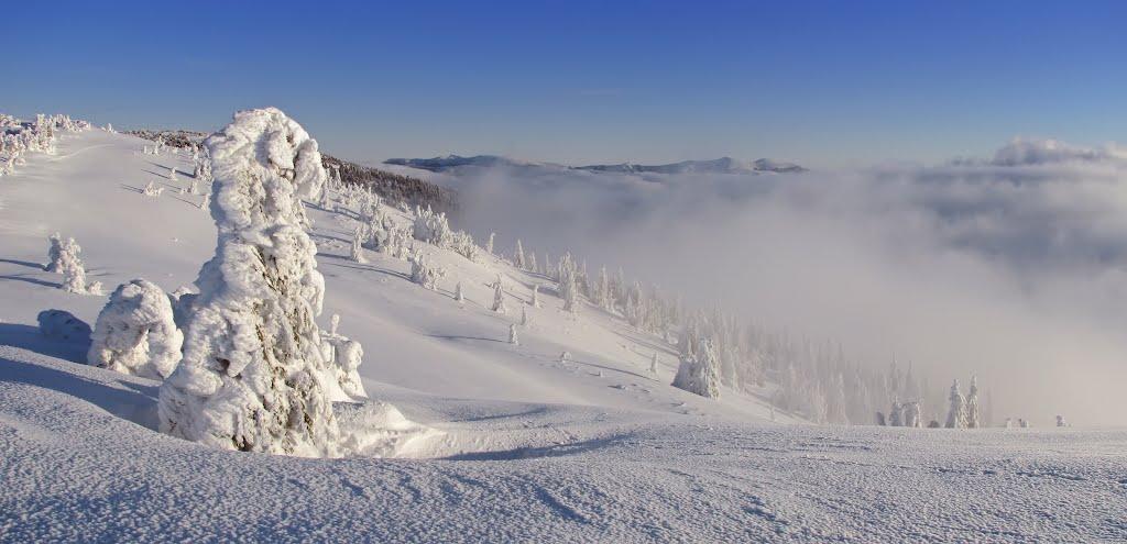 Лопухів з panoramio.com - Лопухов