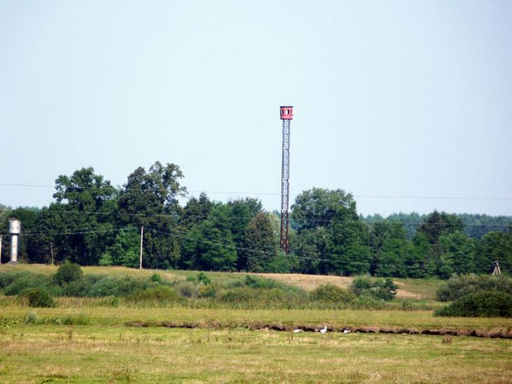 Нетреба з panoramio.com - Нетреба