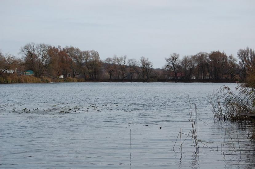 Музичі з panoramio.com - Музычи