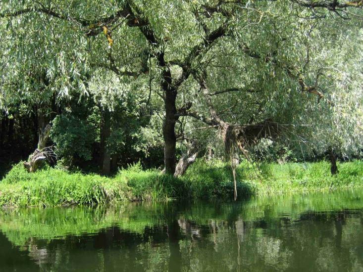 Залиман з panoramio.com - Залиман