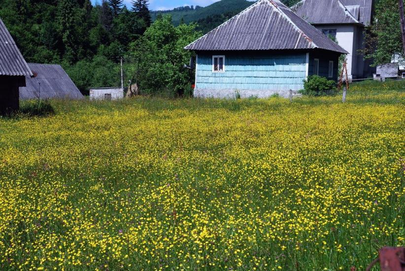Розтока з panoramio.com - Ростока