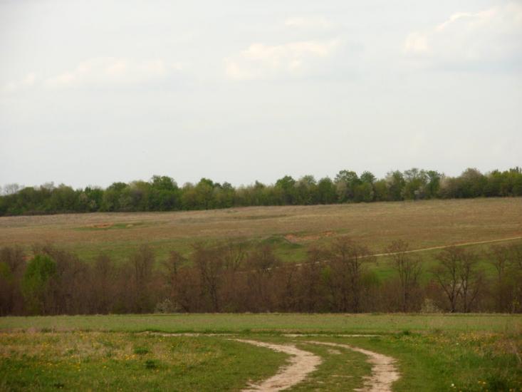 Любомирівка з panoramio.com - Любомировка