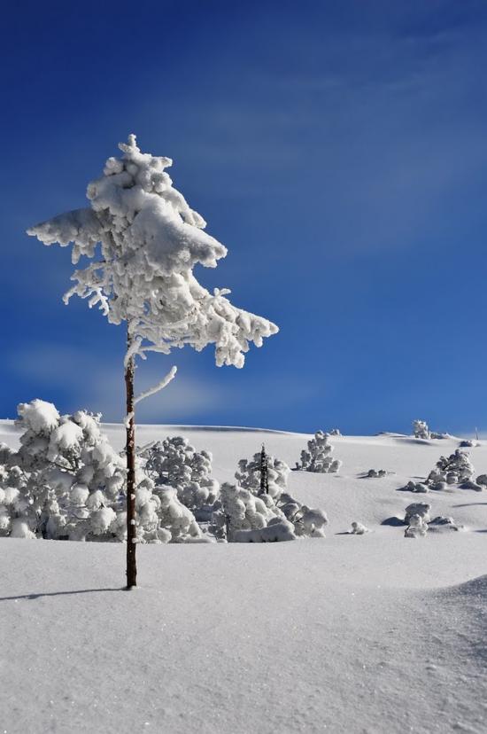 Кузьминець з panoramio.com - Кузьминець
