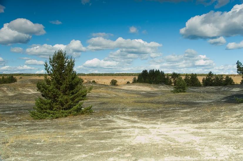 Кицівка з panoramio.com - Кицевка