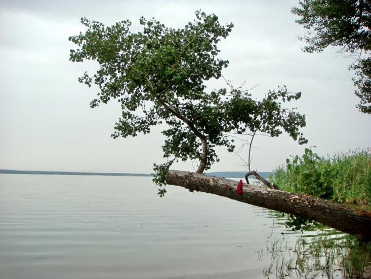 Рубці з panoramio.com - Рубцы